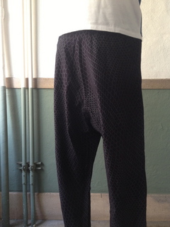 kobushi藍7.jpg