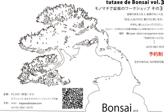 tutaee×Bonsai2016.jpg